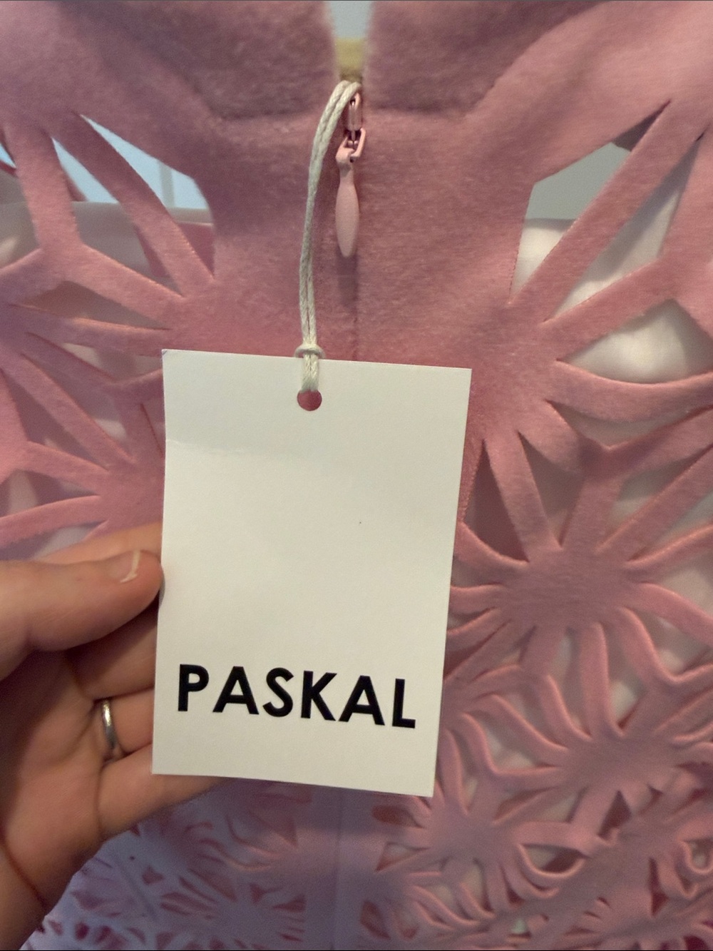 Paskal Laser-Cut Dress in Light Pink - Picture 2 of 5